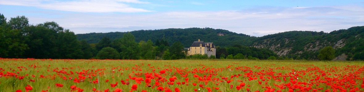 Le Manoir du Chambon - champ de coquelicots devant Sauveboeuf et collines