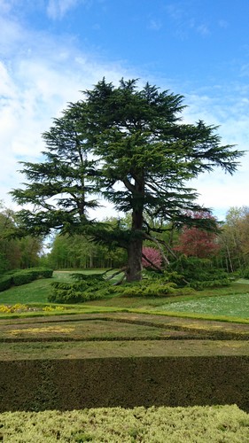 Château de Hautefort - jardin - ®manoirduchambon