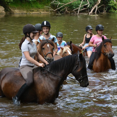 les cavaliers de la Vzre - Baignade questre en Prigord