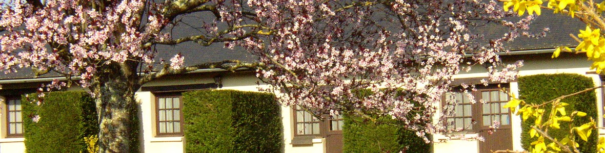 Le Manoir du Chambon - chambres de plain pied